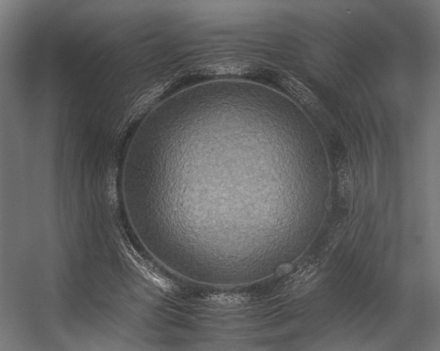 X0000057100537200509121010