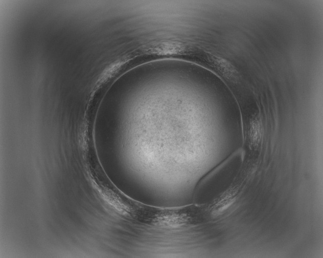 X0000057100540200509121010