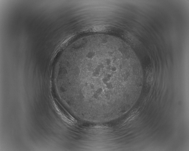 X0000057100542200509121011