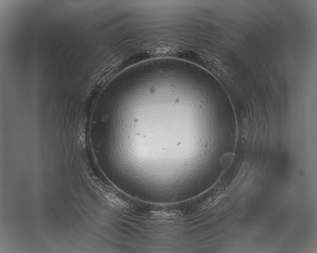 X0000057100545200509121011