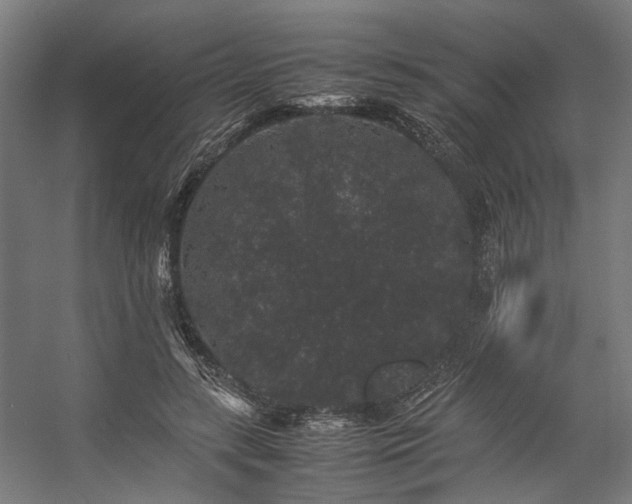 X0000057100547200509121011