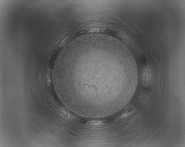 X0000057100554200509121011