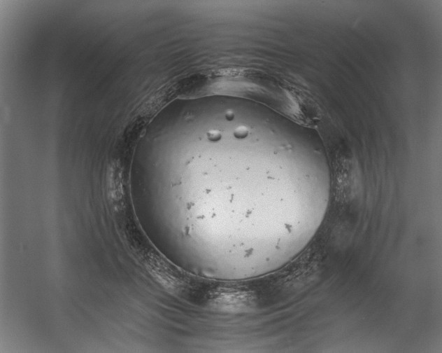 X0000057100555200509121011