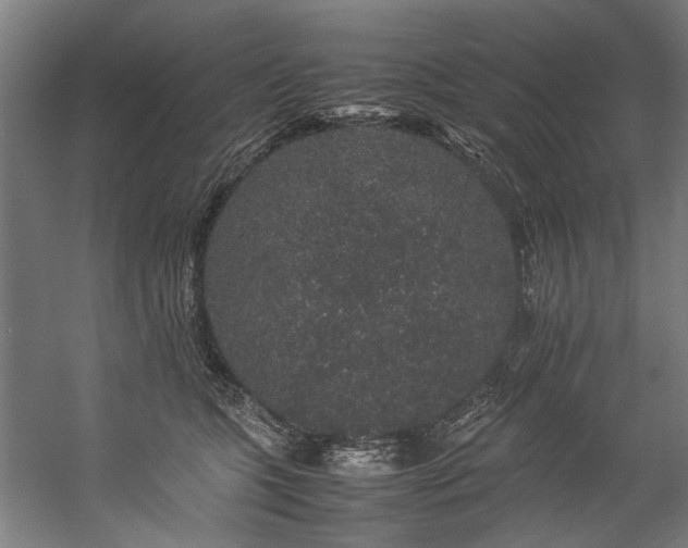 X0000057100563200509121011