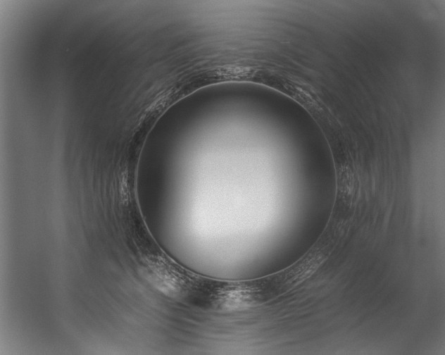 X0000057100564200509121011