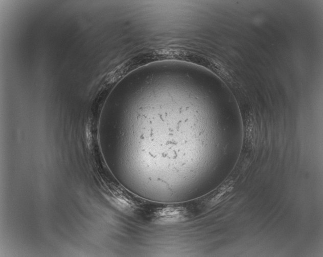 X0000057100566200509121011