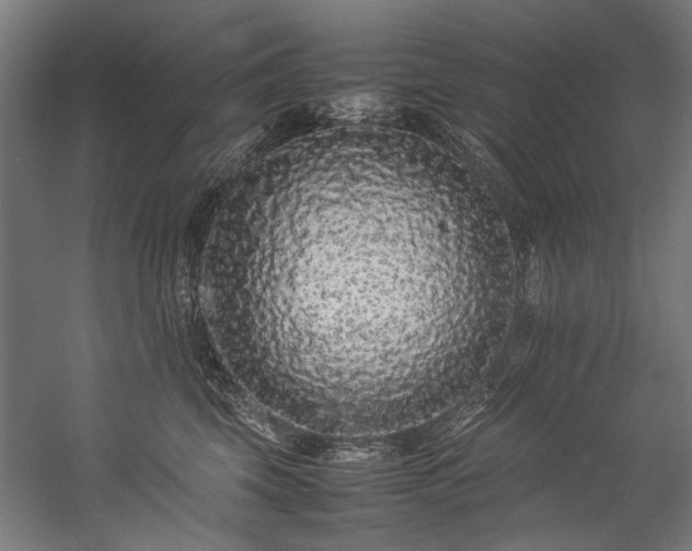 X0000057100569200509121011