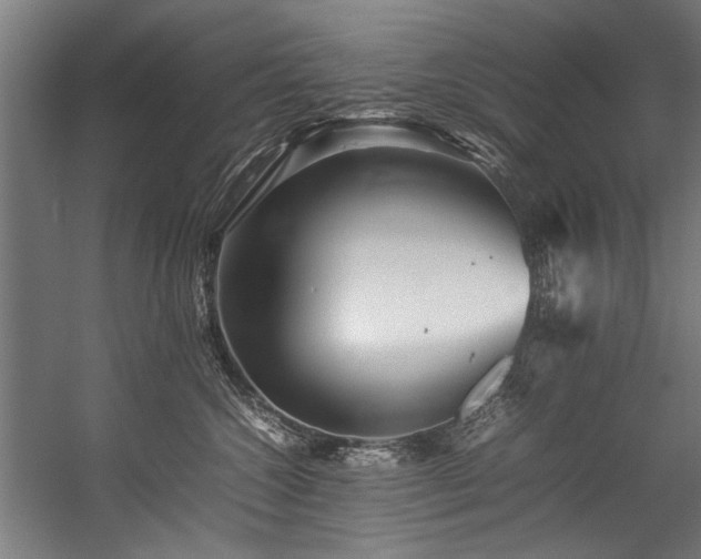 X0000057100572200509121011