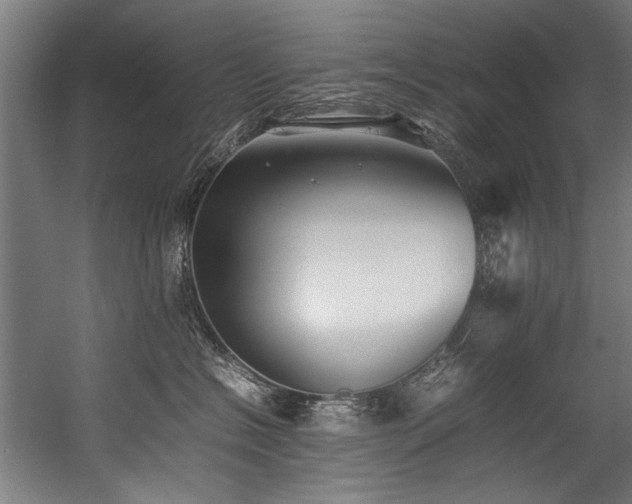 X0000057100574200509121011