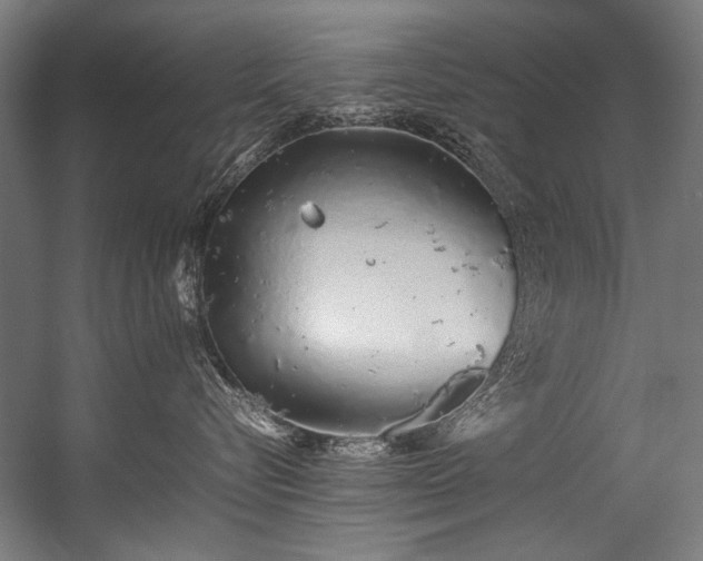 X0000057100576200509121011