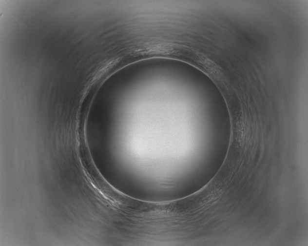 X0000057100578200509121010