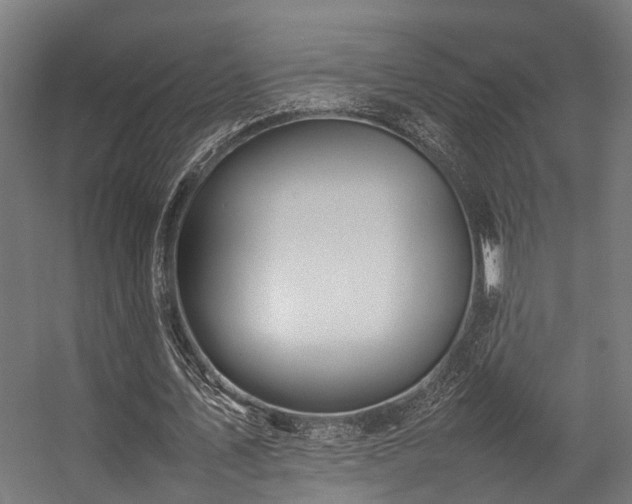 X0000057100579200509121010