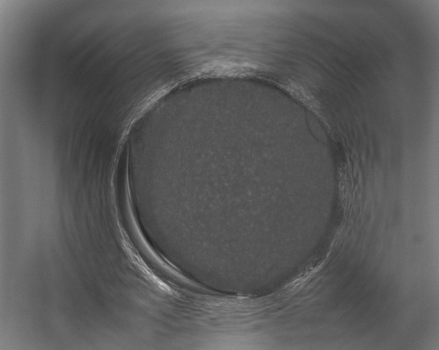 X0000057100581200509121010