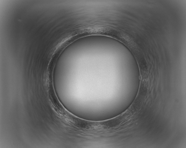 X0000057100583200509121010