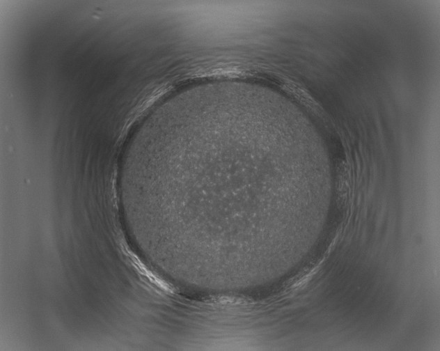 X0000057100585200509121010