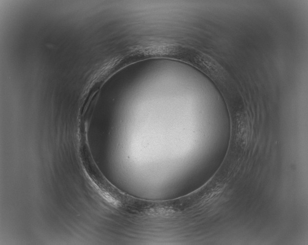 X0000057100586200509121010