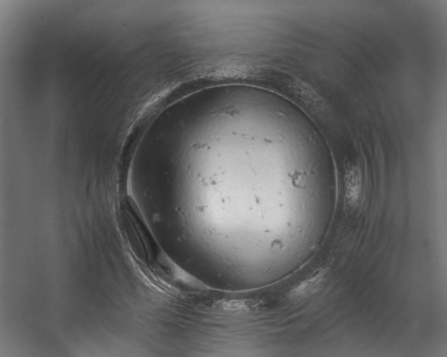 X0000057100588200509121010