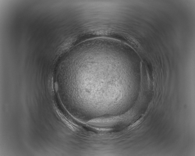 X0000057100589200509121010