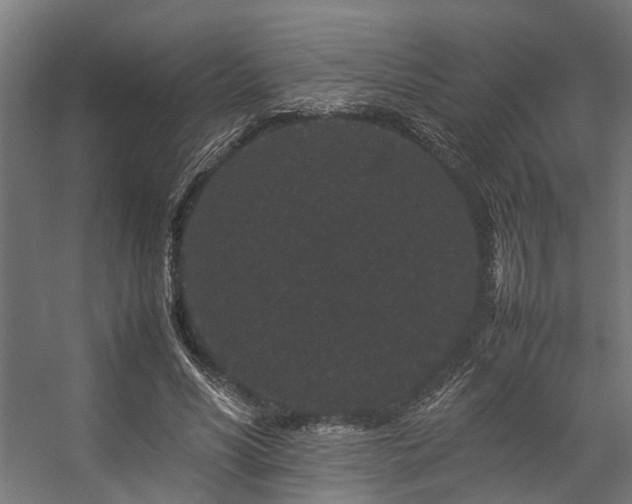 X0000057100590200509121010