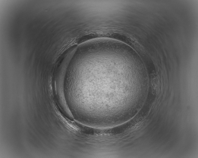 X0000057100593200509121010