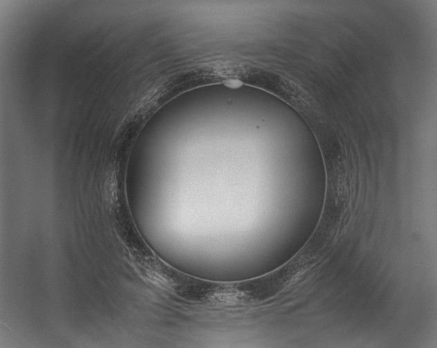 X0000057100595200509121010