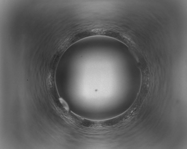 X0000057100597200509121010