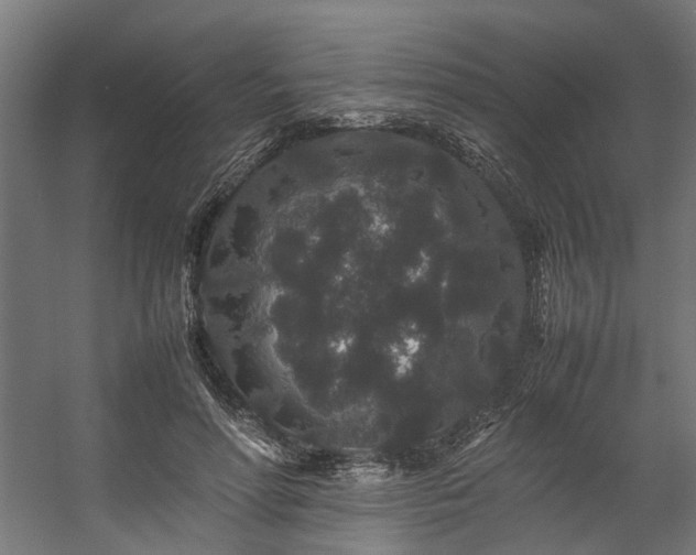 X0000057100598200509121010