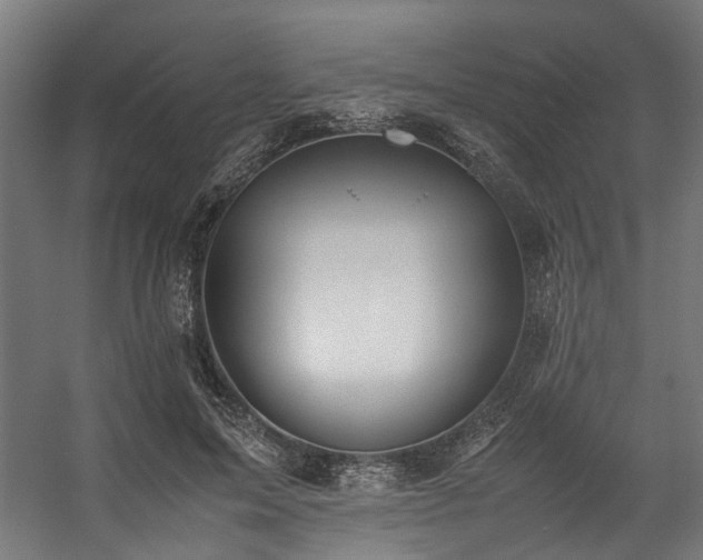 X0000057100599200509121010