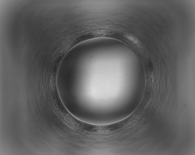 X0000057100601200509121010