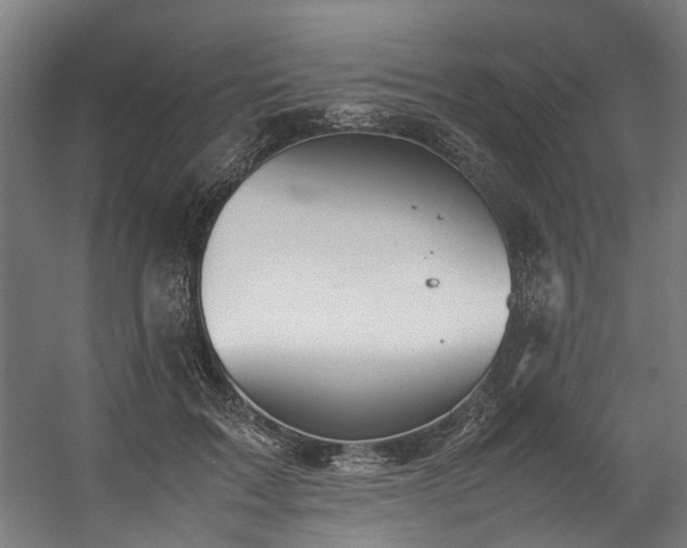 X0000057100603200509121010