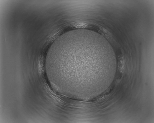 X0000057100604200509121010