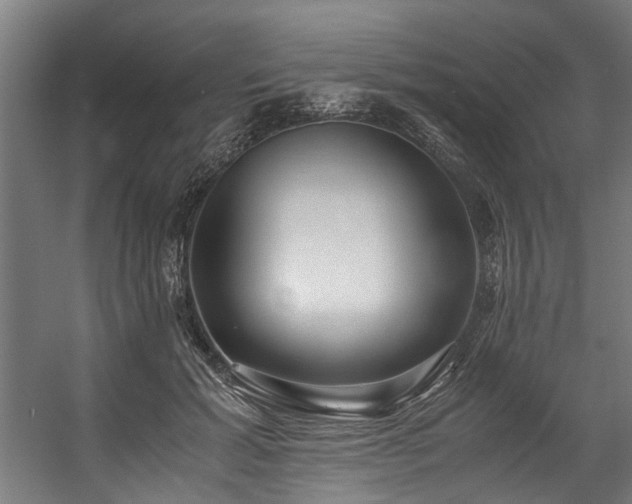 X0000057100605200509121010