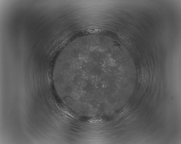 X0000057100606200509121010