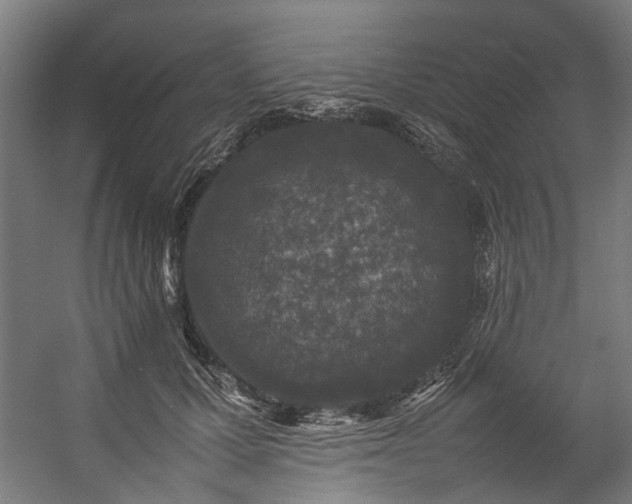 X0000057100607200509121010