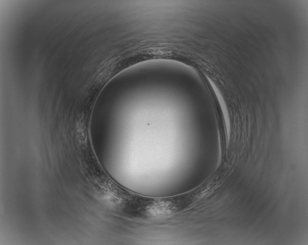 X0000057100609200509121010