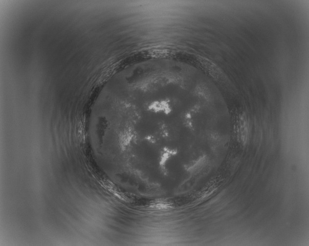 X0000057100610200509121010