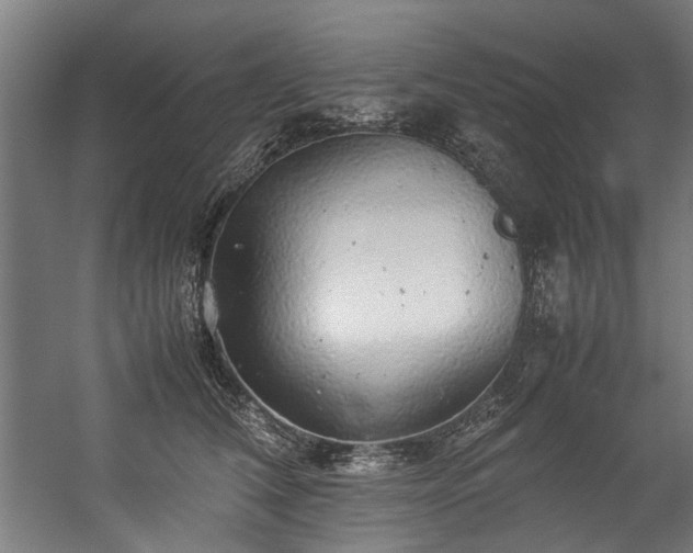 X0000057100612200509121010