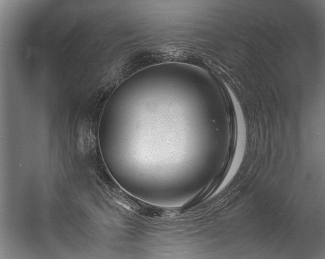 X0000057100613200509121010