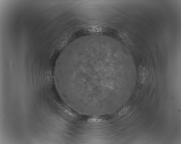 X0000057100614200509121010