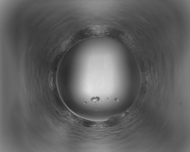 X0000057100615200509121010