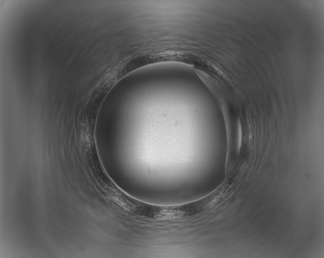 X0000057100617200509121010