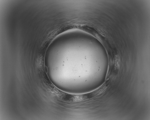 X0000057100623200509121009