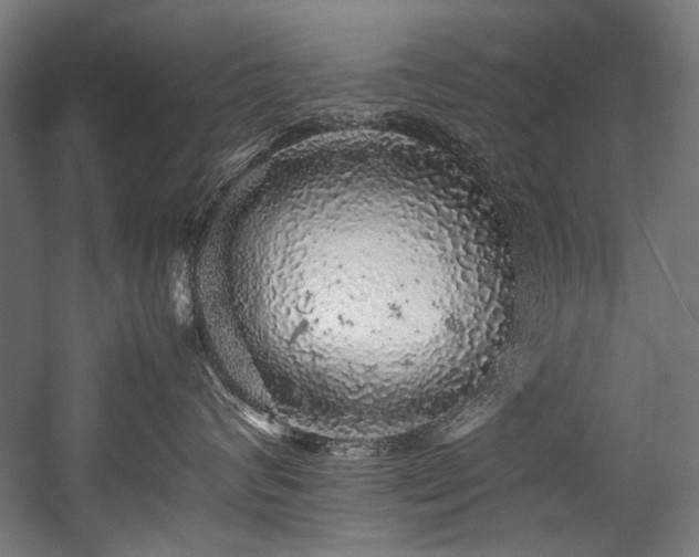 X0000057100624200509121009