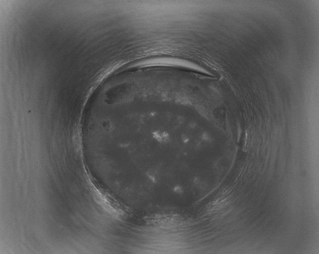 X0000057100626200509121009