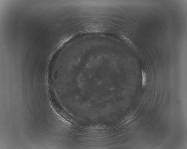 X0000057100627200509121009