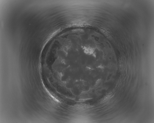 X0000057100630200509121009