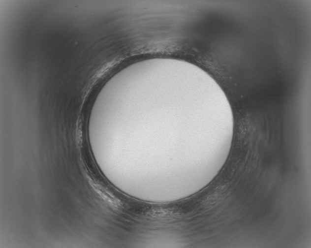 X0000057100632200509121009