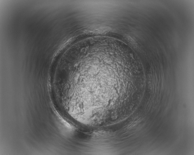 X0000057100634200509121009