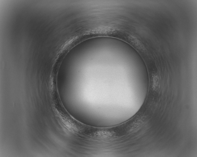 X0000057100636200509121009