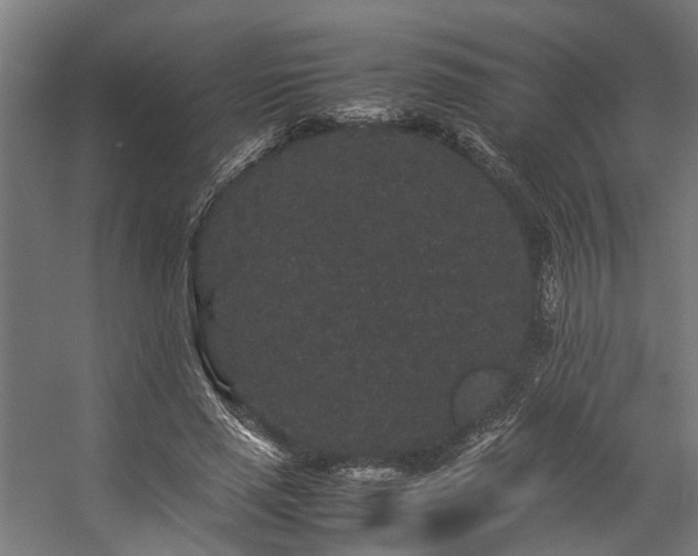 X0000057100637200509121009